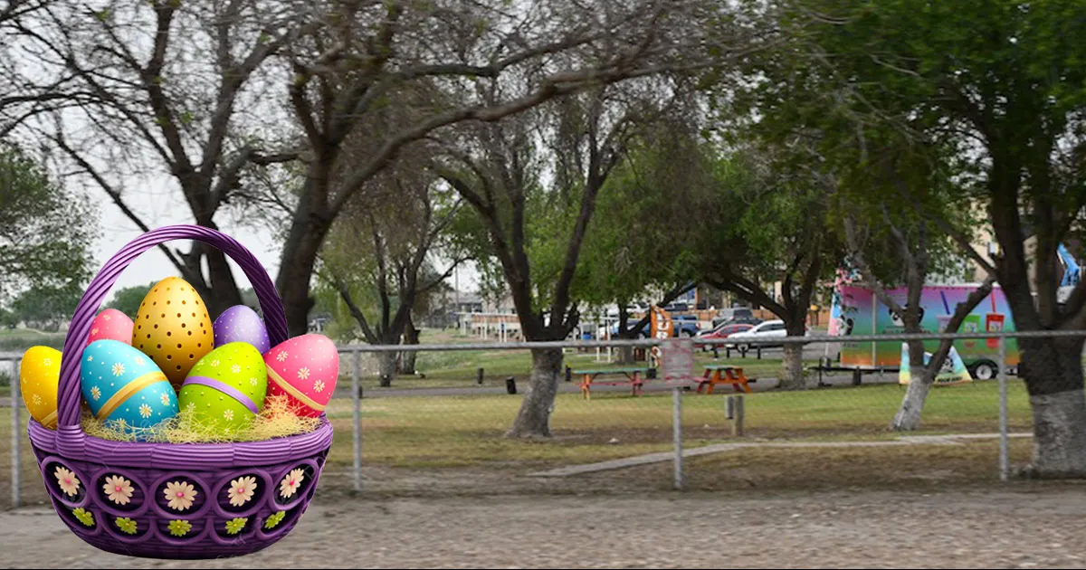 La renta general es de 15 dólares.