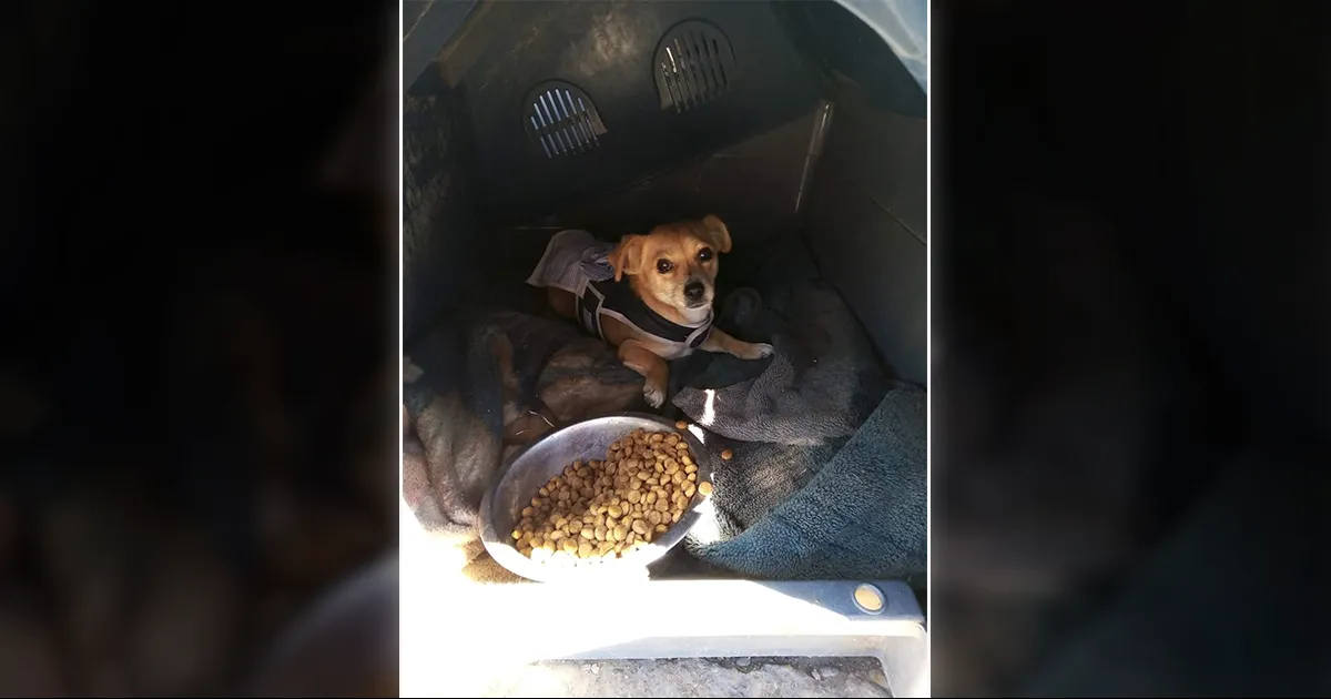 Aunque aún está por confirmarse si será en la Macro Plaza o el Paseo del Rio, los preparativos ya están en marcha