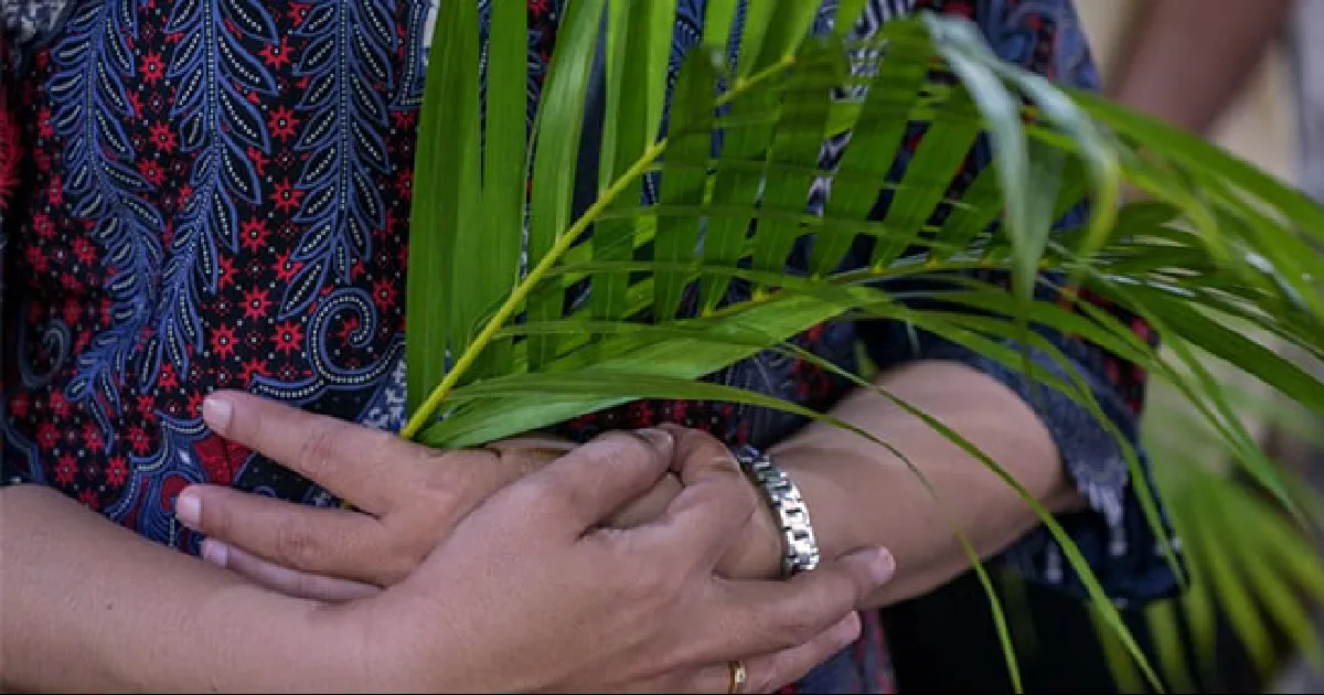 En México, el Domingo de Ramos es una de las tradiciones más arraigadas, especialmente en zonas rurales e indígenas