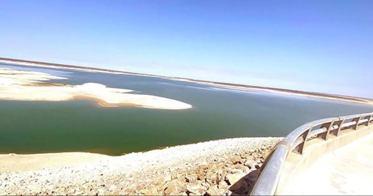 Lanza Acuña SOS por La Amistad; arriesga Federación consumo humano