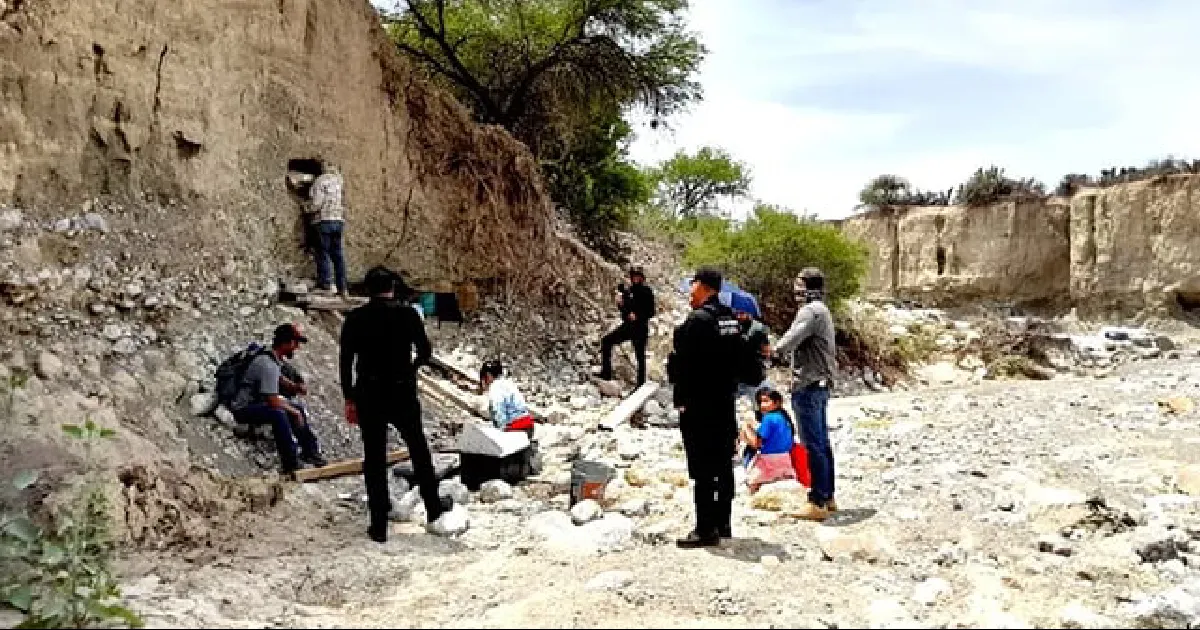 Encuentran en Tamaulipas presuntos restos de mamut; INAH ya investiga