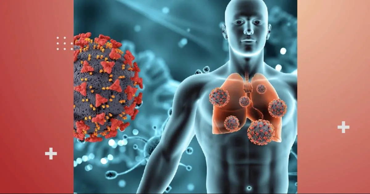 Estudios de contactos permiten establecer relación entre contagiados