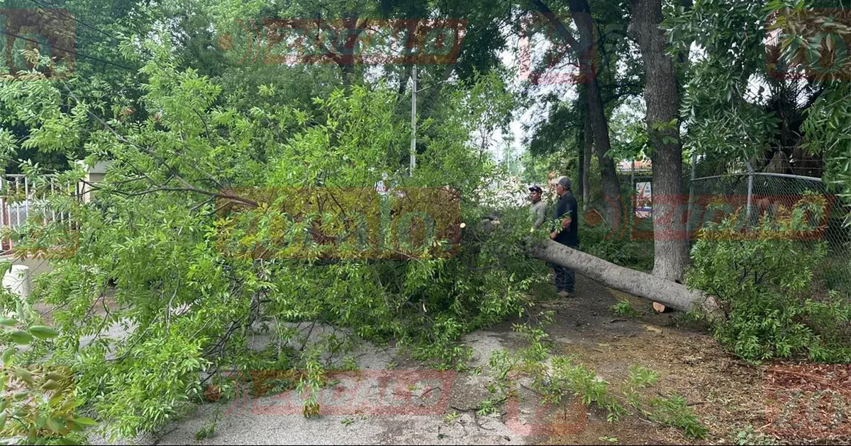 No se registraron daños en viviendas hasta el momento