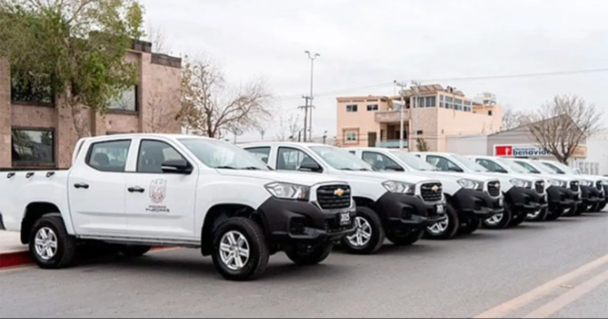 No se han emitido acuerdos ni circulares para la creación de dichos comités.