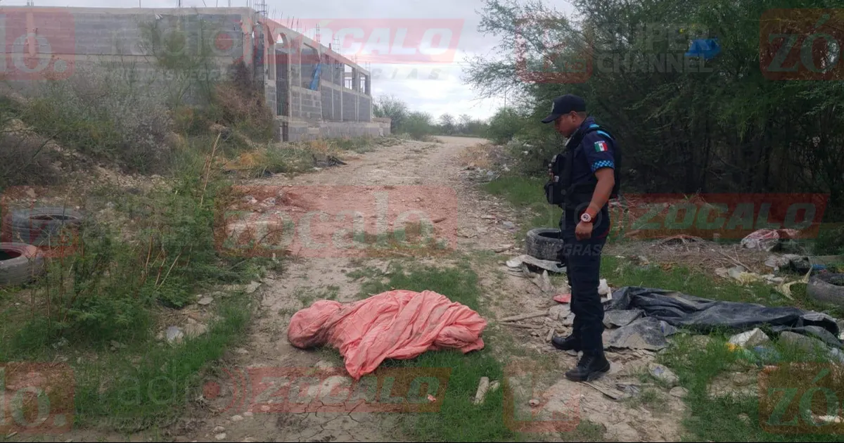 Vecinos reportan bulto sospechoso; era una perrita sin vida