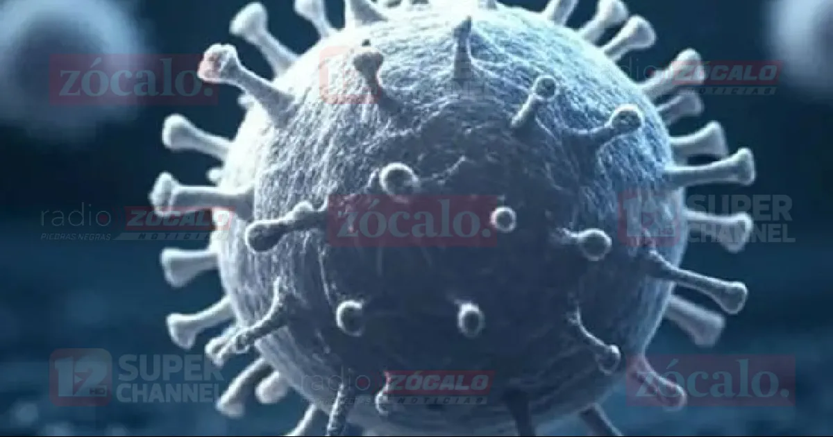 Un bebé prematuro que fue infectado con sarampión en el útero por su madre no vacunada falleció recientemente en Canadá, según informaron este jueves