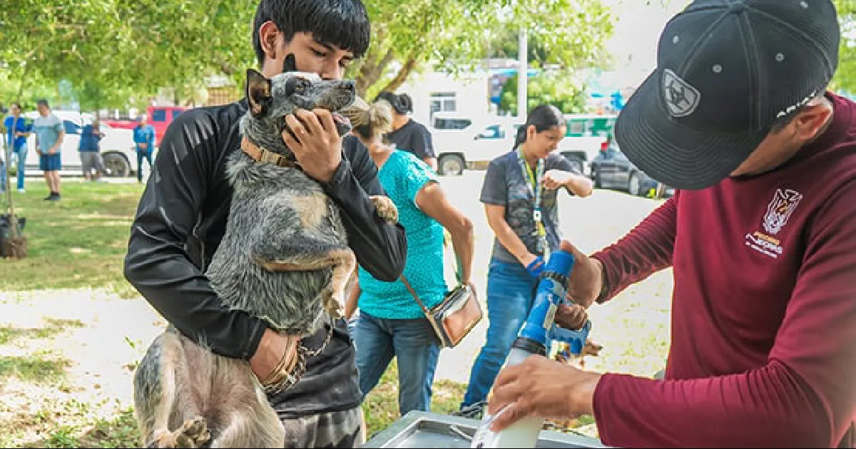 Aprovechan macrobrigada de Ecología e Imagen Urbana