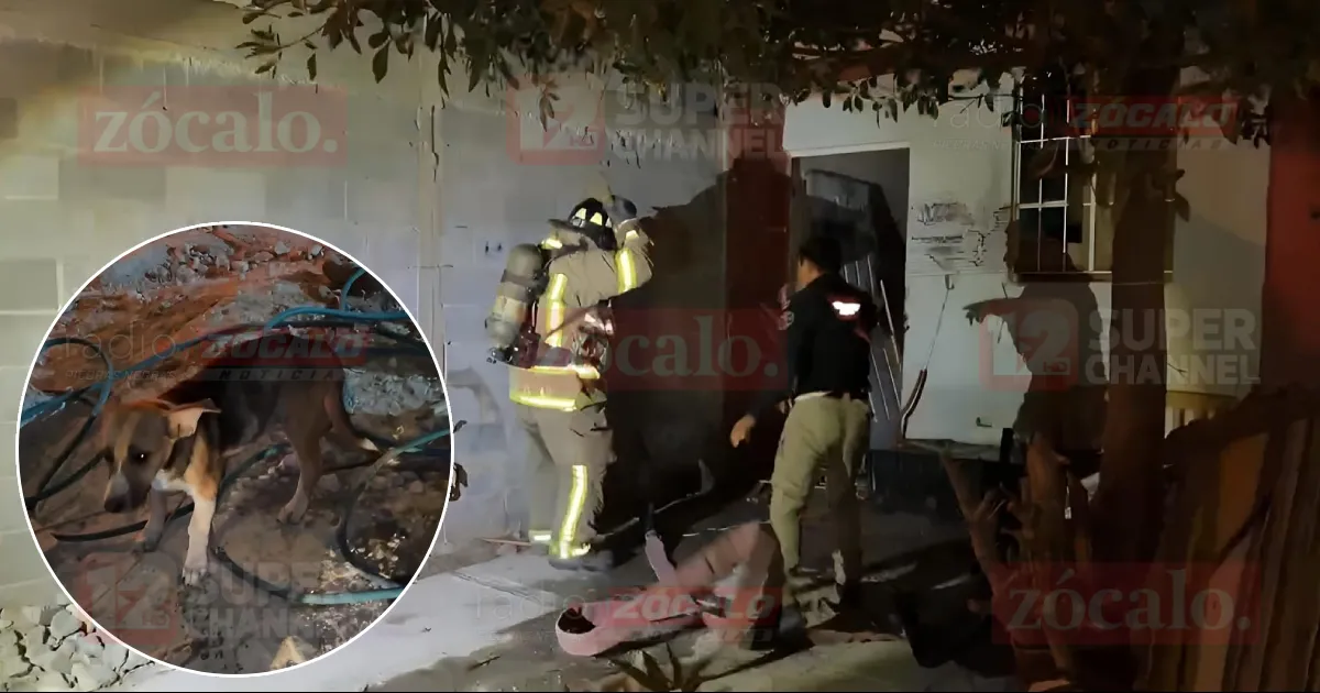 No se descarta que el incendio haya sido provocado.