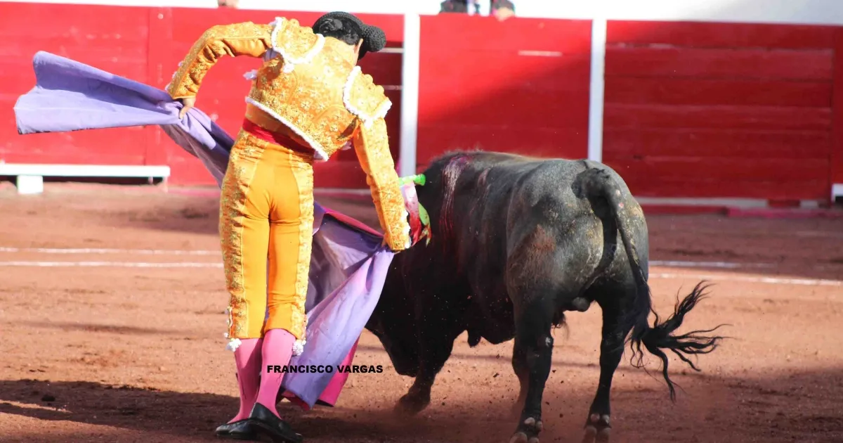 Aumenta el número de festejos para la Jornada Taurina de esta Semana
