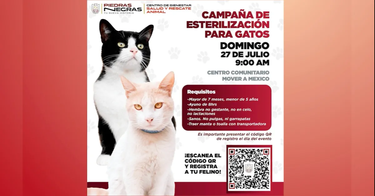 Se tomó la decisión de hacer la campaña específicamente para gatos y gatas ya que no es común que se realicen este tipo de acciones especialmente para felinos