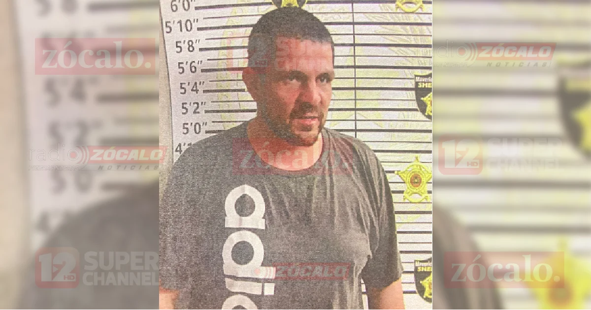 Durante la revisión de las cámaras, la denunciante dijo que el sujeto estaba intentar llevarse algunos objetos mientras golpeaba a un perro de la familia