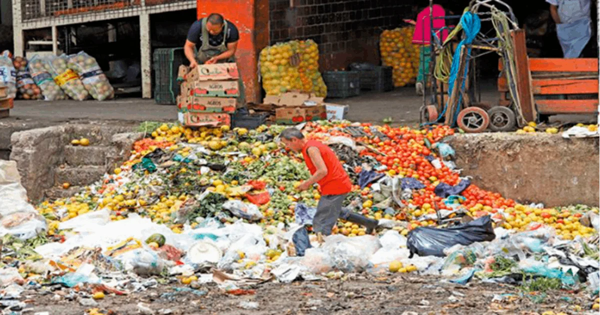 Tiran millones de toneladas de alimentos en nuestro país; mientras otros cientos de miles viven en la pobreza