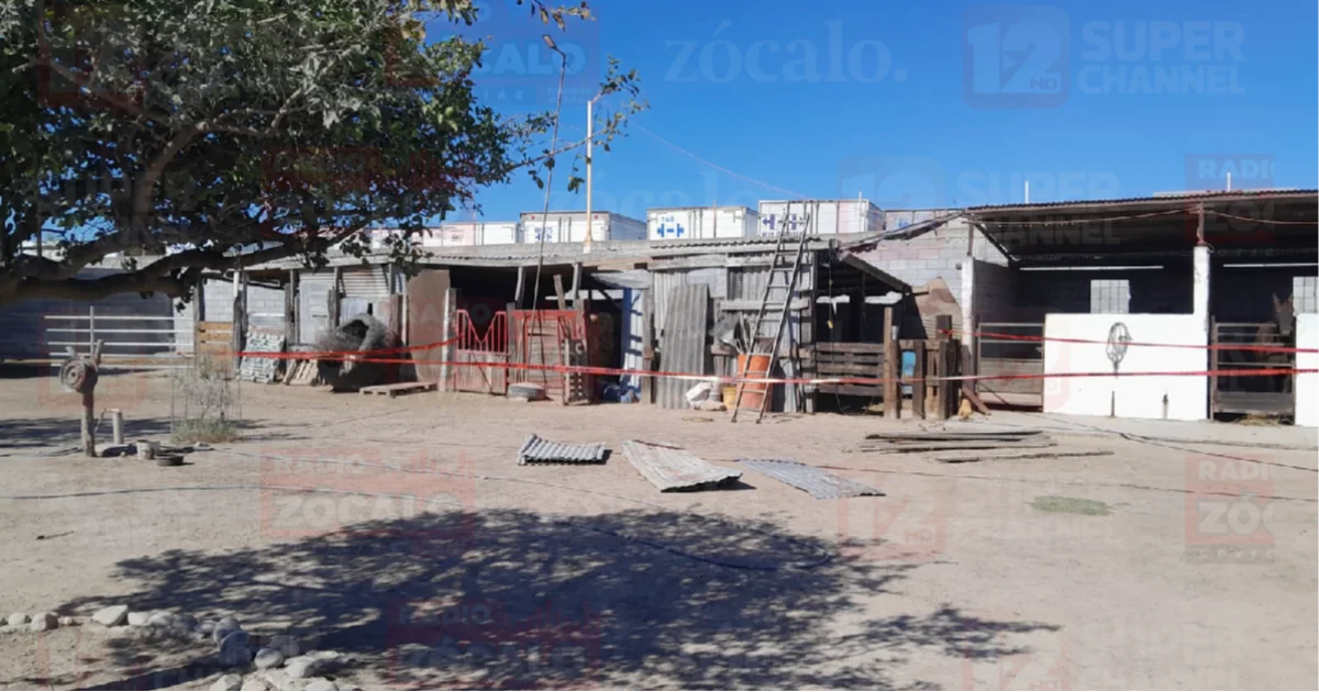 El Servicio Médico Forense determinó que la causa de muerte fue un infarto agudo al miocardio.