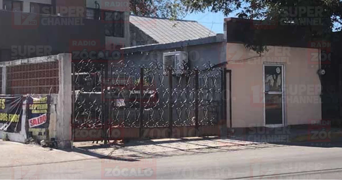 Denuncian a protector de perros por maltrato