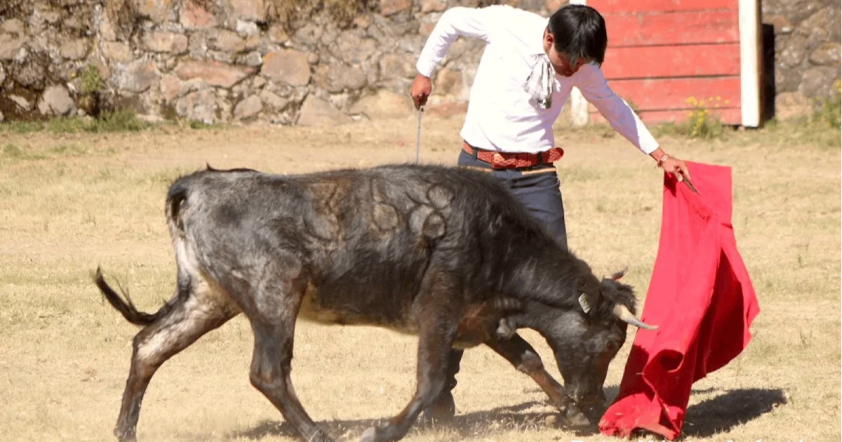 Alejandro Lima “El Mojito” realiza labores de tienta en la ganadería Magdalena González