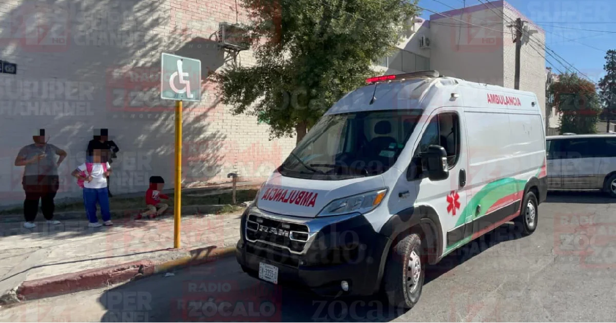 Dueño de perro deberá responder por ataque a niño de 4 años